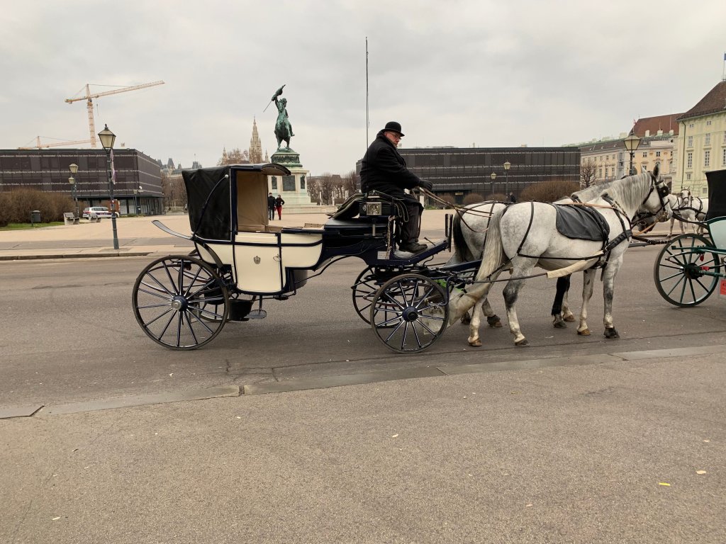New Year’s day in Vienna: bring in the new year with a horse-drawn carriage&nbsp;ride!