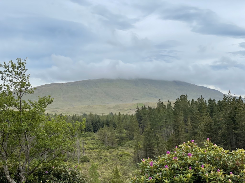 Wild Nephin mtn 