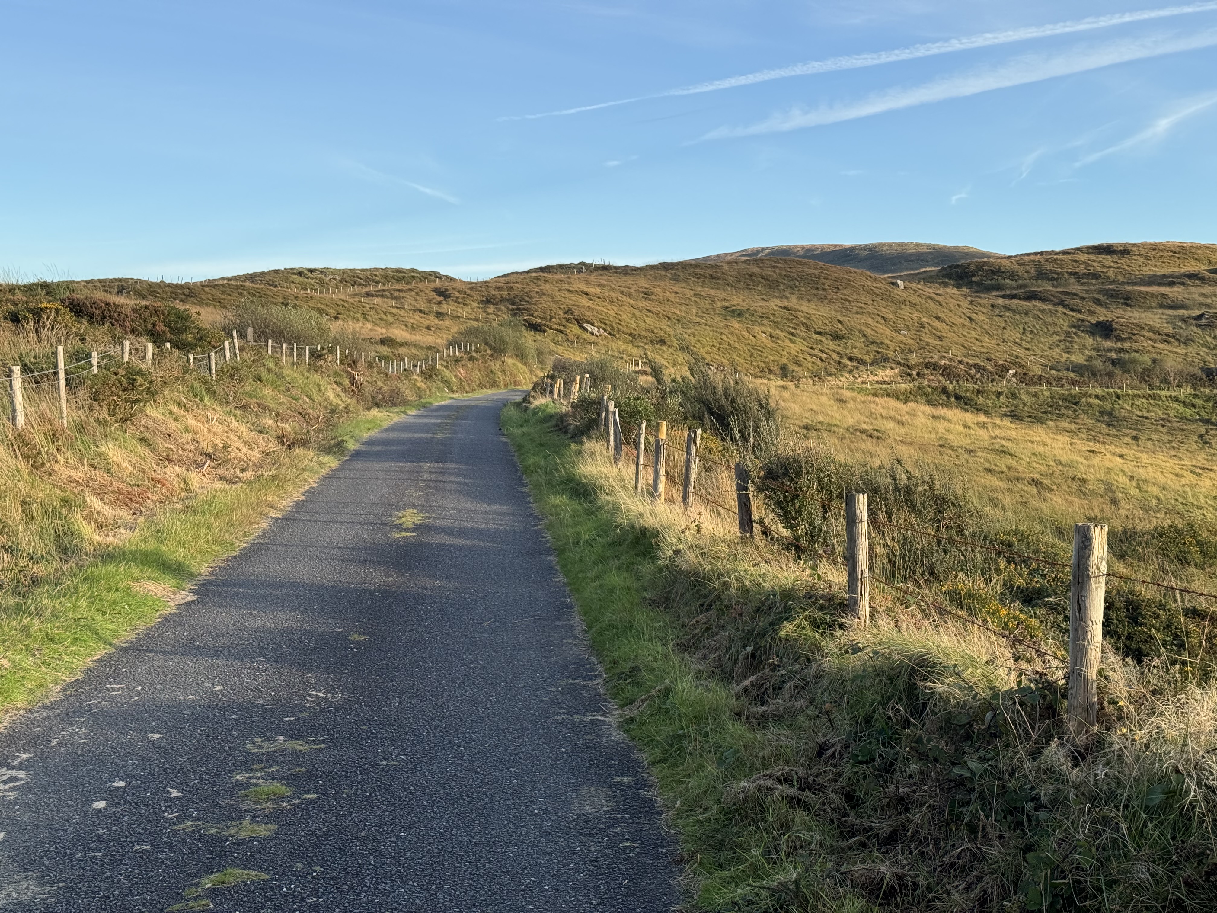 A narrow, winding country road surrounded by grassy fields and a wooden fence, under a clear blue sky.
