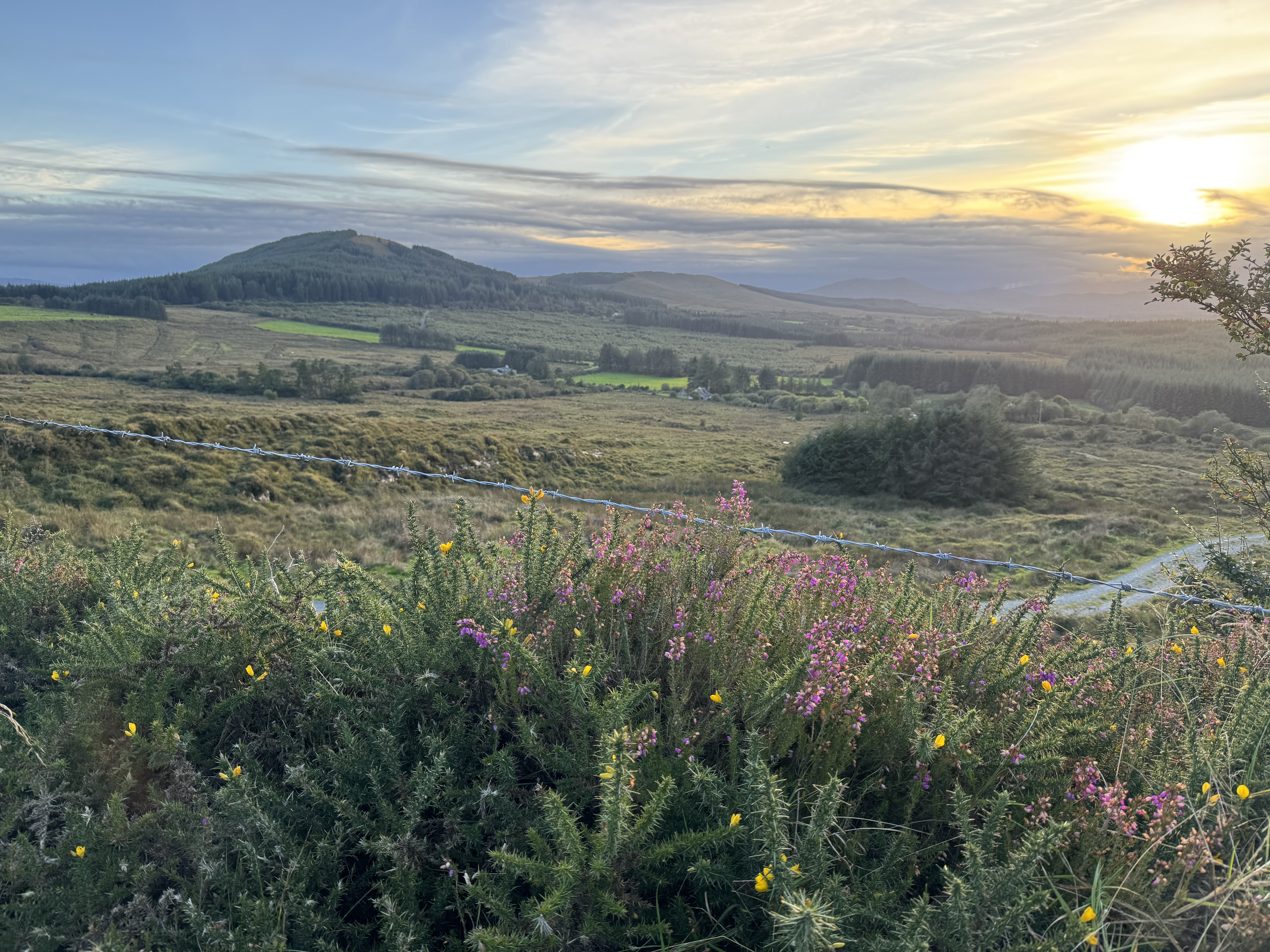 Scenic landscape view featuring rolling hills, lush green fields, and wildflowers in the foreground under a colorful sunset sky.